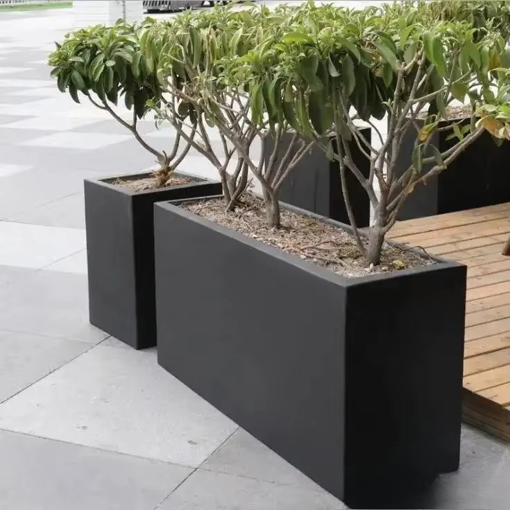 New Nordic Large Indoor Flower - Indoor Plants 评论和价格