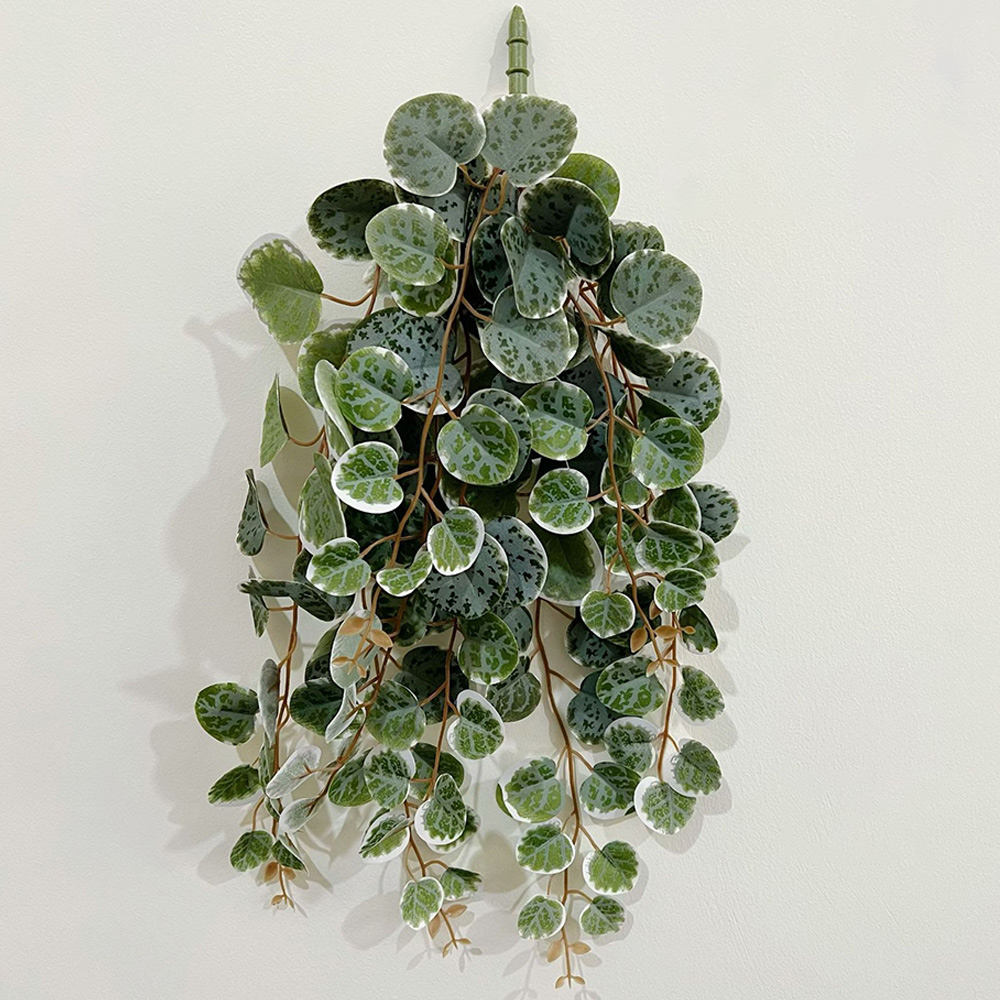 49cm Artificial Plants Vines F - Snake Plant 评论和价格