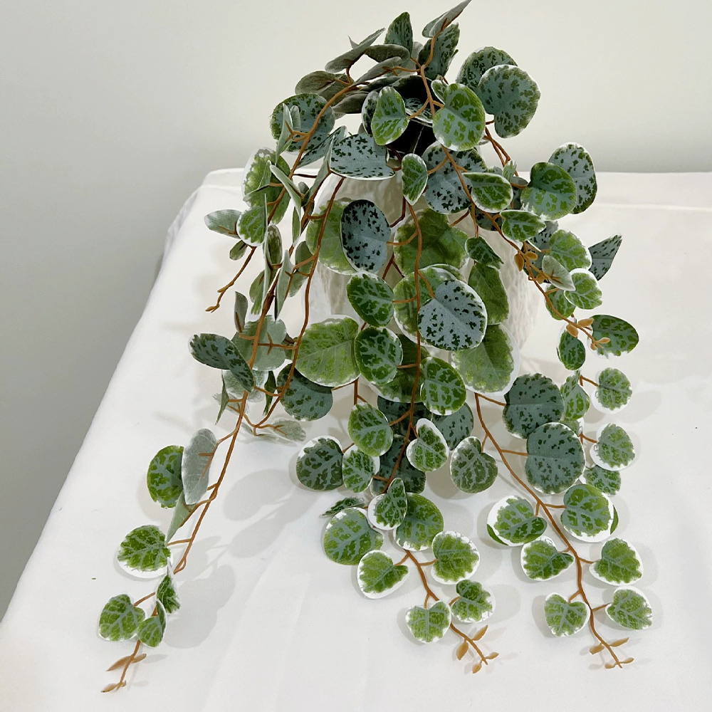 49cm Artificial Plants Vines F - Snake Plant 评论和价格
