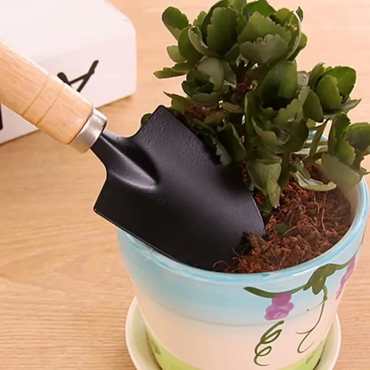 3Pcs/Set Mini Garden Tool Set  - Terracotta Pot 评论和价格