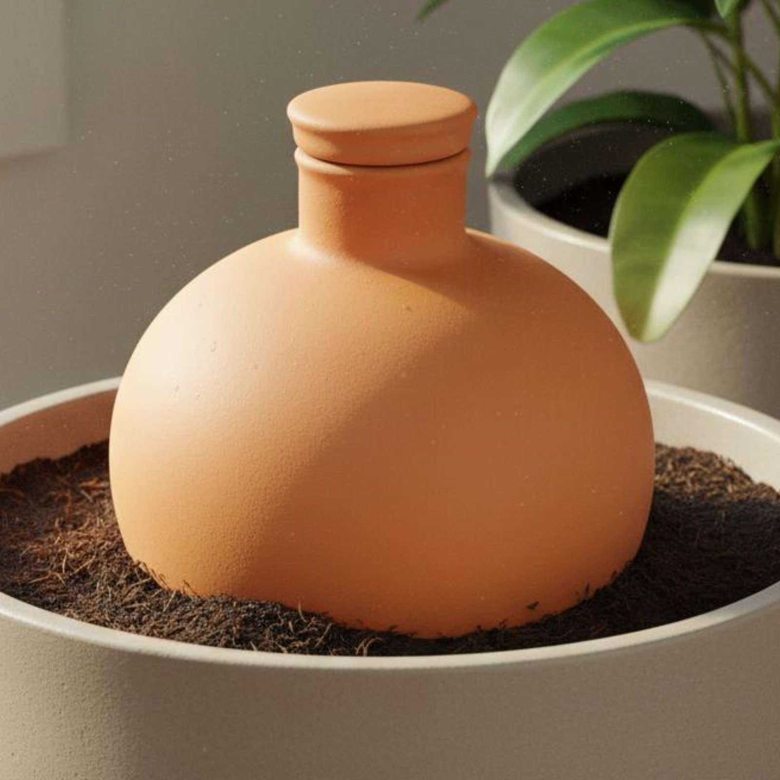 2 Pieces Terracotta Olla Easy  - Terracotta Pot 评论和价格