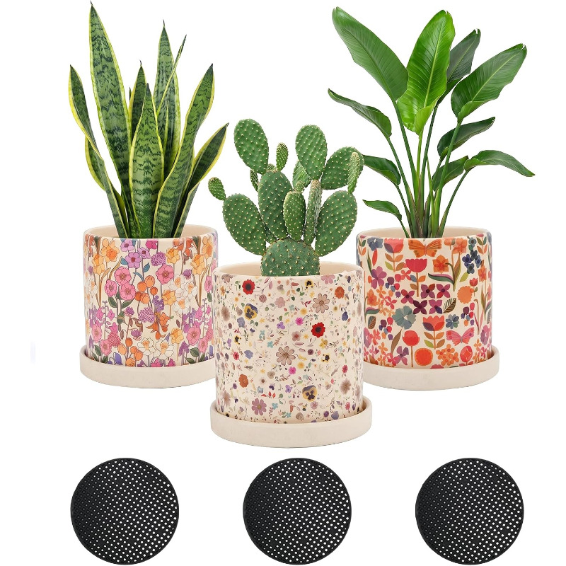 3Pcs Floral Ceramic Planters w - Snake Plant Ceramic 评论和价格