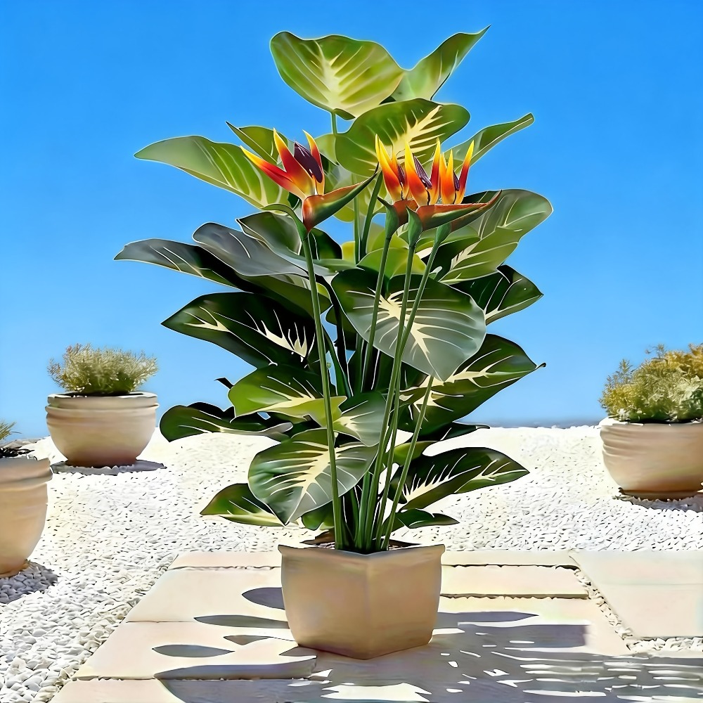 Artificial Bird of Paradise an - Fiddle Leaf Fig 评论和价格