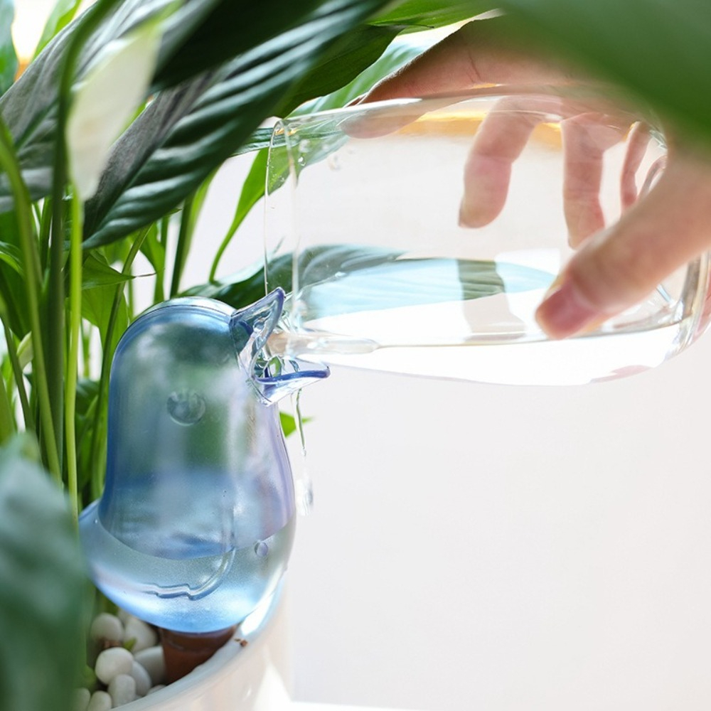 Bird Shape Plant Watering Devi - Pothos 评论和价格