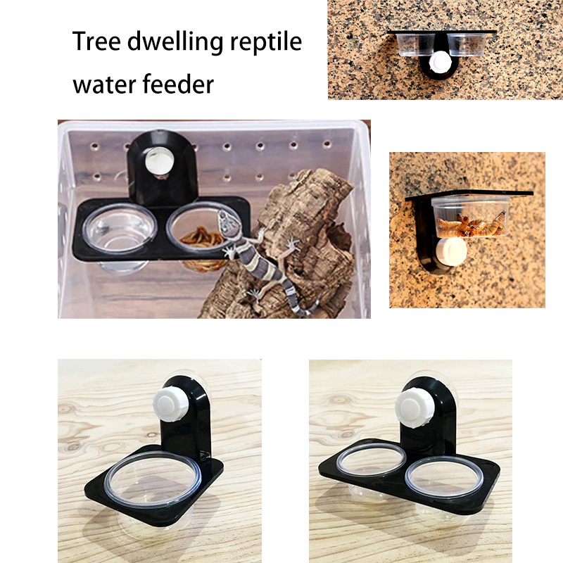 Reptile Tank Accessories Insec - Snake Plant 评论和价格