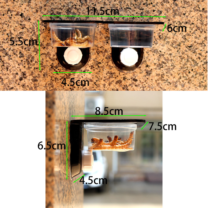 Reptile Tank Accessories Insec - Snake Plant 评论和价格