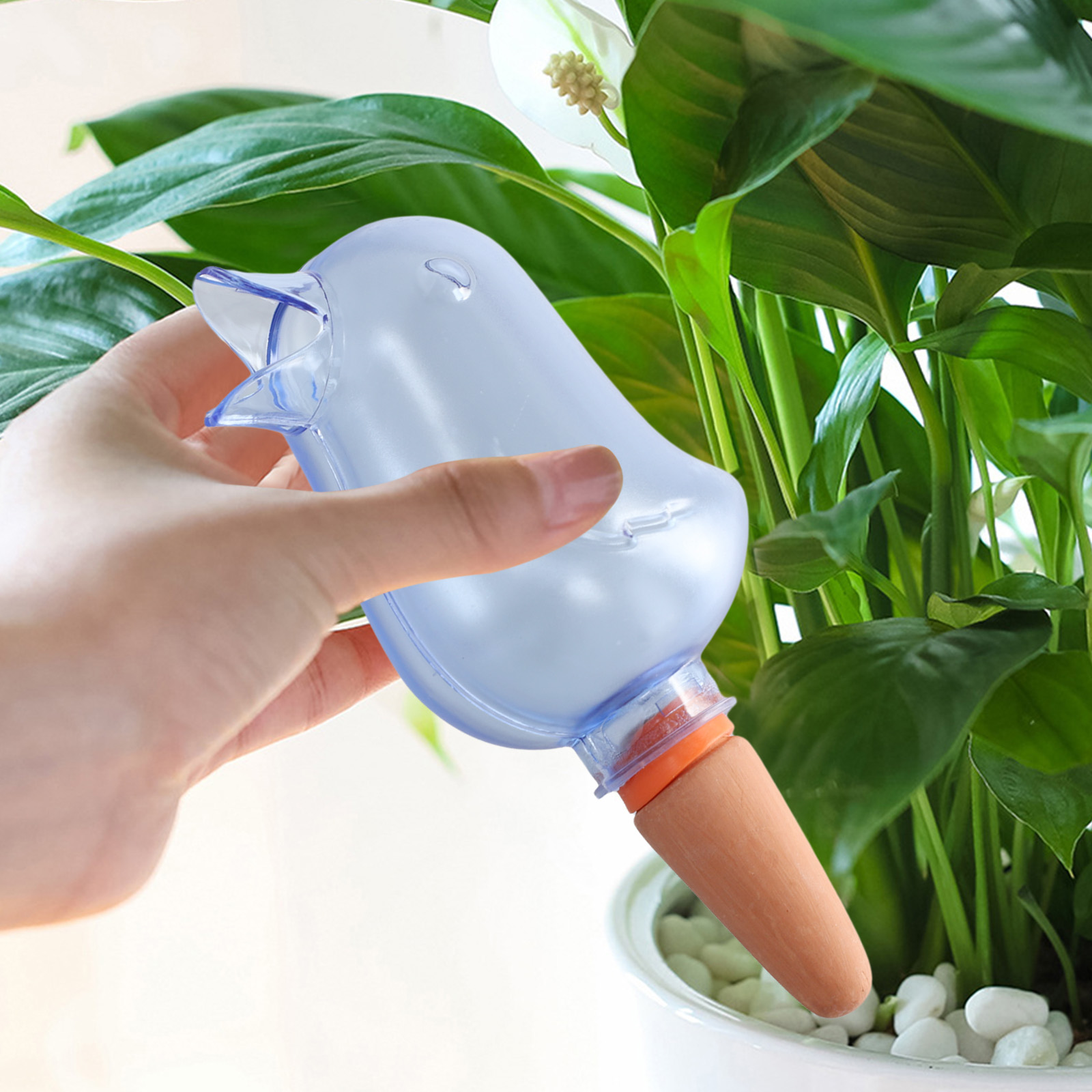 Automatic Plant Drip Irrigatio - Pothos 评论和价格