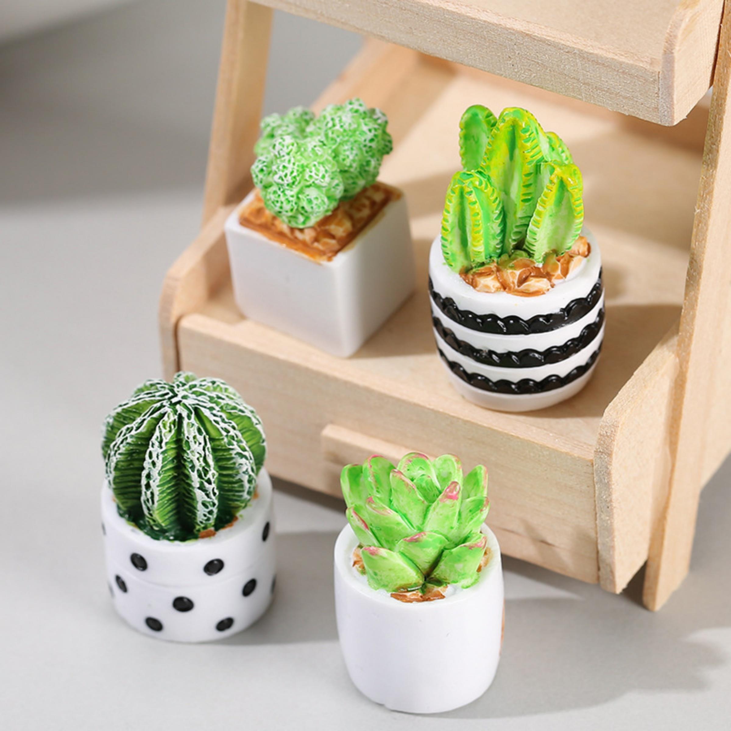 4-Piece Set of Cactus Succulen - Succulent Set 评论和价格