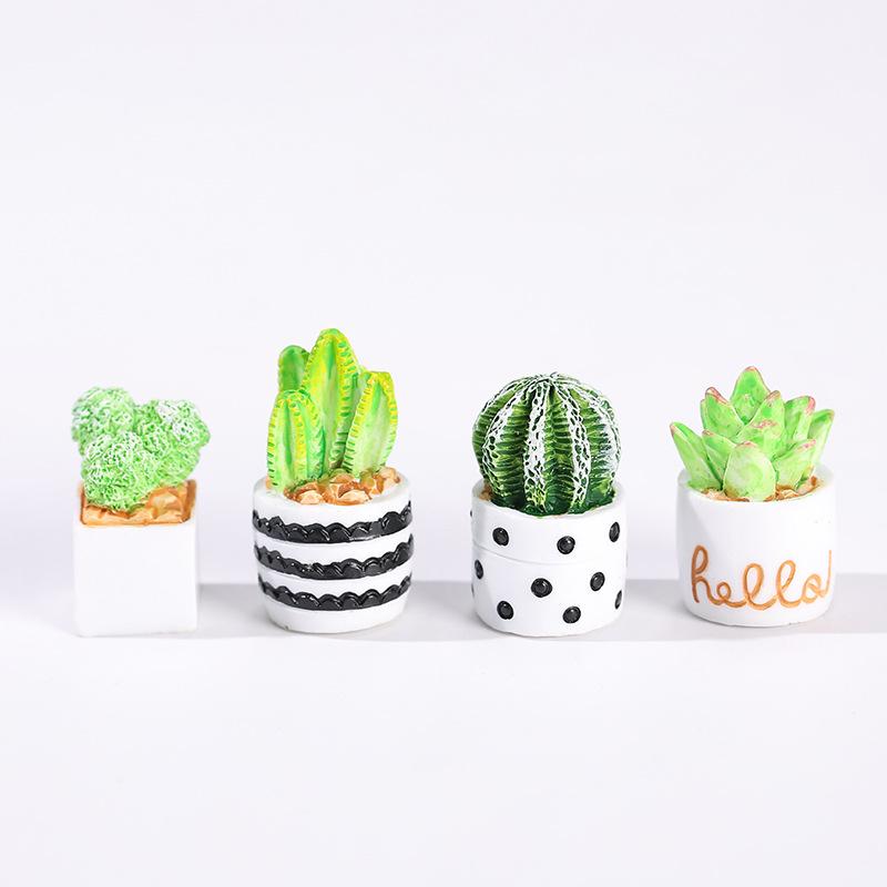 4-Piece Set of Cactus Succulen - Succulent Set 评论和价格