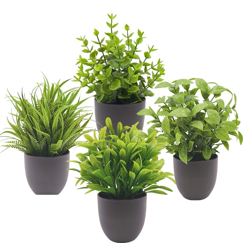 Simulation Green Plant Bonsai  - Succulent Set 评论和价格