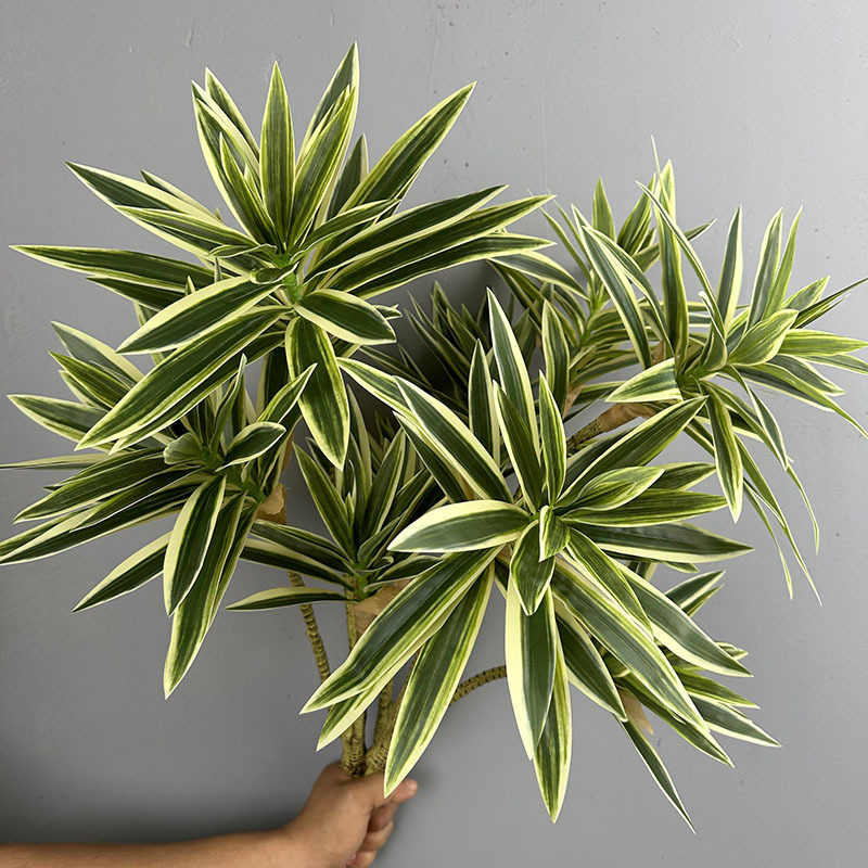 Simulated Green Plants 3 Heads - Snake Plant 评论和价格